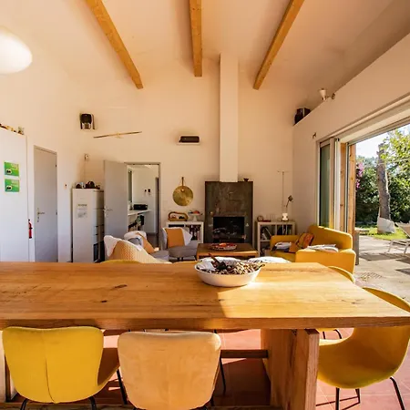 Vakantiehuis Maison Aux Vents *